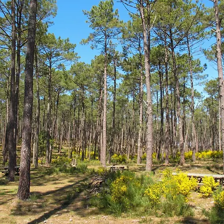 Jade Et Elena-1 By Interhome