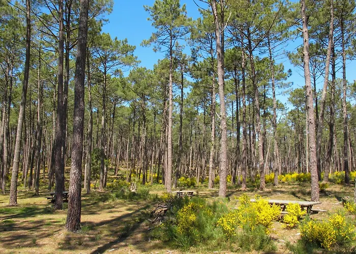 Jade Et Elena-1 By Interhome